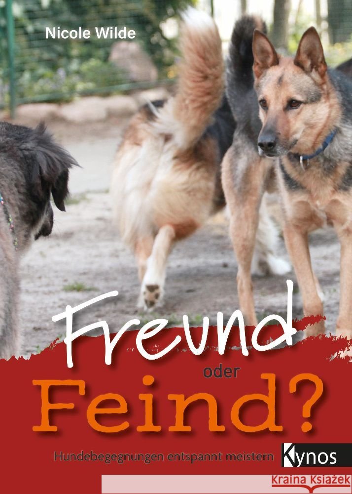 Freund oder Feind? Wilde, Nicole 9783954643097 Kynos - książka