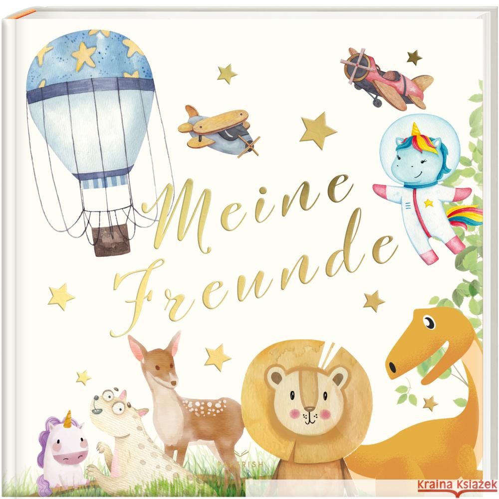 Freundebuch - MEINE FREUNDE Loewe, Pia 9783968950228 PAPERISH Verlag - książka