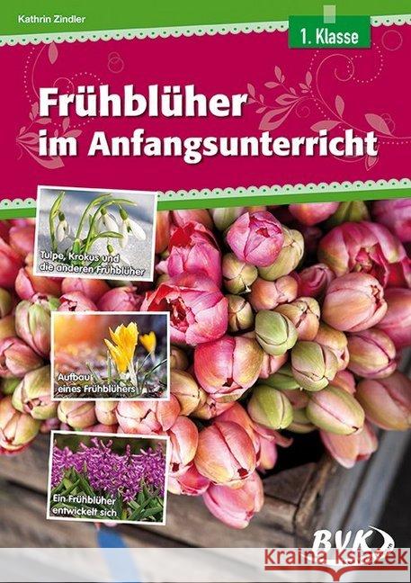 Frühblüher im Anfangsunterricht : 1. Klasse Zindler, Kathrin 9783867405676 BVK Buch Verlag Kempen - książka