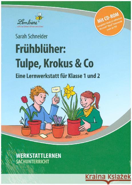 Frühblüher: Tulpe, Krokus & Co, m. CD-ROM : Eine Lernwerkstatt für Klasse 1 und 2. Kopiervorlagen. Mit editierbaren Microsoft® Word® Dateien Schneider, Sarah 9783956647901 Lernbiene Verlag - książka