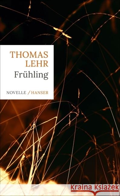 Frühling : Novelle Lehr, Thomas 9783446261730 Hanser - książka