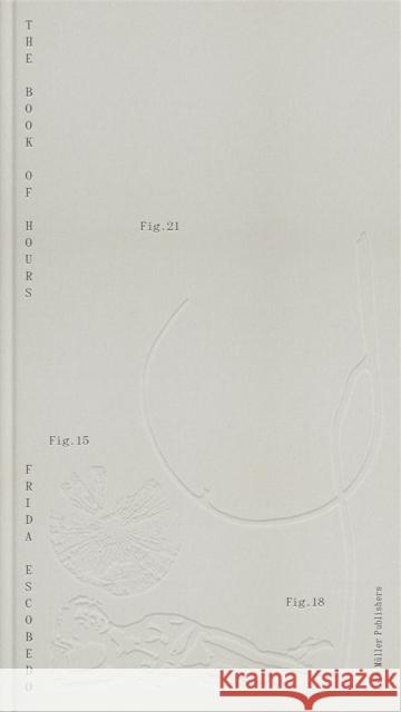 Frida Escobedo: Book of Hours Frida Escobedo 9783037787373 Lars Muller Publishers - książka