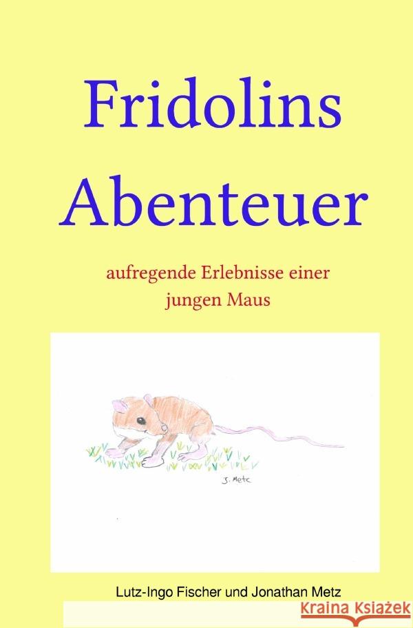 Fridolins Abenteuer Metz, Jonathan 9783819026409 epubli - książka