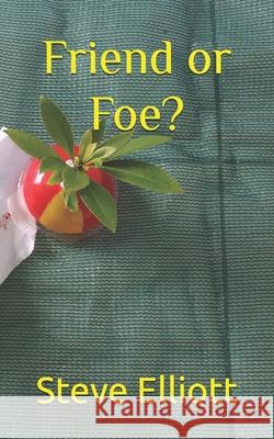 Friend or Foe? Steve Elliott 9798538270576 Independently Published - książka