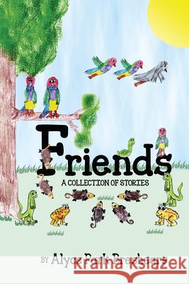 Friends - A Collection of Stories Alyce Park Breshears 9781604146820 Fideli Publishing - książka
