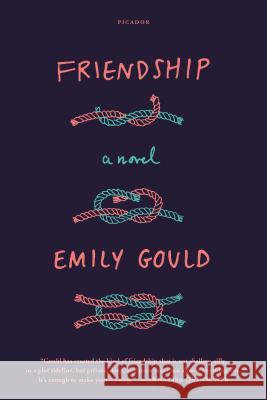 Friendship Emily Gould 9781250070487 Picador USA - książka