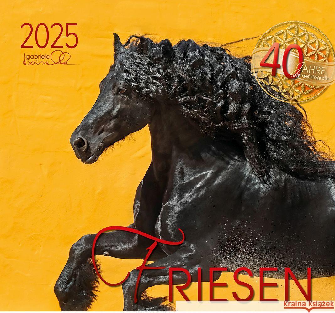 Friesen 2025, m. 1 Beilage  9783964120724 Edition Boiselle - książka