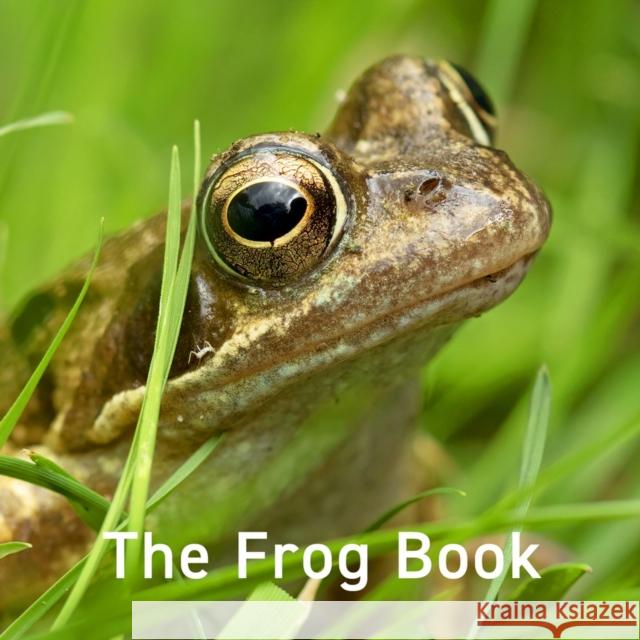 Frog Book, The Jo Byrne 9781802583557 Graffeg Limited - książka