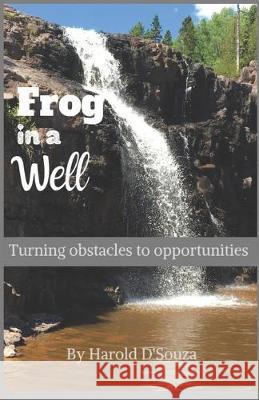 Frog in a Well: Turning obstacles to opportunities Harold D'Souza 9781687015402 Independently Published - książka