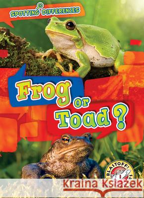 Frog or Toad? Kirsten Chang 9781681038223 Blastoff! Readers - książka