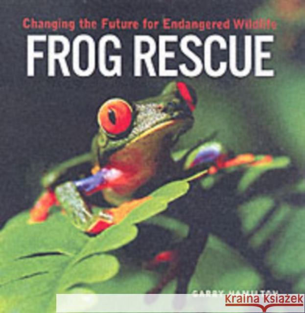 Frog Rescue: Changing the Future for Endangered Wildlife Garry Hamilton 9781552975961 Firefly Books - książka