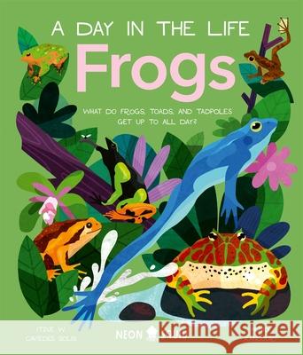 Frogs (A Day in the Life): What Do Frogs, Toads, and Tadpoles Get Up to All Day? Neon Squid 9781838992880 Priddy Books - książka