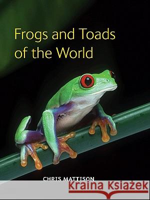 Frogs and Toads of the World Christopher Mattison 9780691149684 Princeton University Press - książka