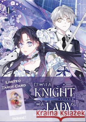 From a Knight to a Lady - Tarot Card Edition: Limited Edition  9788198763648 Crossed Hearts - książka