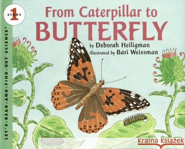 From Caterpillar to Butterfly Bari Weissman 9780061119750 Collins - książka