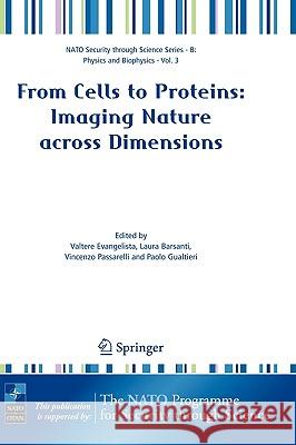 From Cells to Proteins: Imaging Nature Across Dimensions: Proceedings of the NATO Advanced Study Institute, Held in Pisa, Italy, 12-23 September 2004 Evangelista, Valtere 9781402036149 Springer London - książka