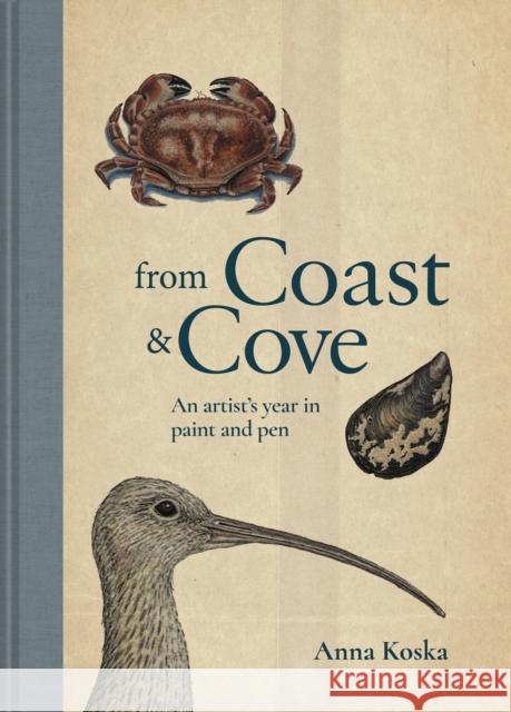 From Coast & Cove: An Artist’s Year in Paint and Pen Anna Koska 9781911682127 HarperCollins Publishers - książka