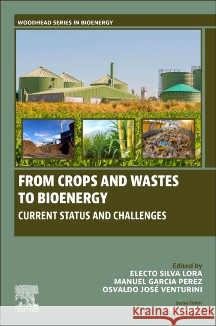 From Crops and Wastes to Bioenergy: Current Status and Challenges Electo Silva Lora Manuel Garcia-Perez Osvaldo Jos? Venturini 9780443160844 Elsevier - Health Sciences Division - książka