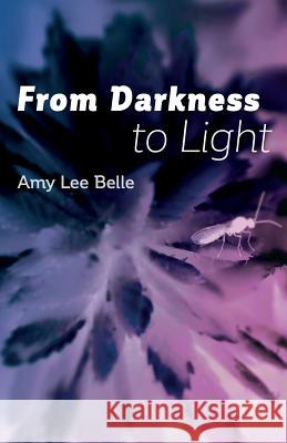 From Darkness to Light Amy Lee Belle 9781794248434 Independently Published - książka