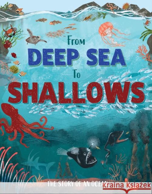 From Deep Sea to Shallows: The Story of Oceans Hubbard, Ben 9781445195360 Hachette Children's Group - książka