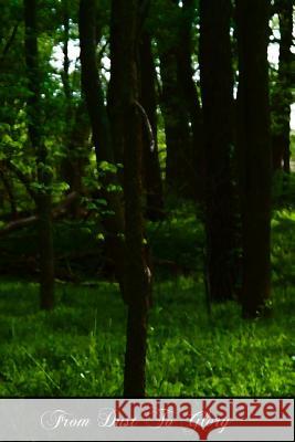 From Dust To Glory Phelan S. J., M. J. 9781477471463 Createspace - książka