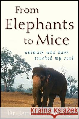 From Elephants to Mice: Animals Who Have Touched My Soul  9781684424030 Howell Books - książka