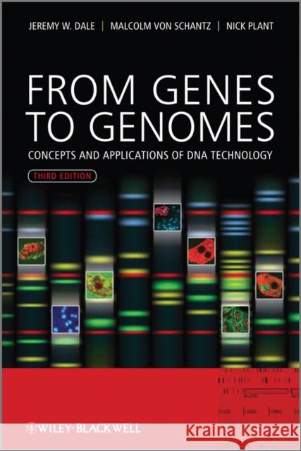 From Genes to Genomes 3e Dale, Jeremy W. 9780470683866  - książka