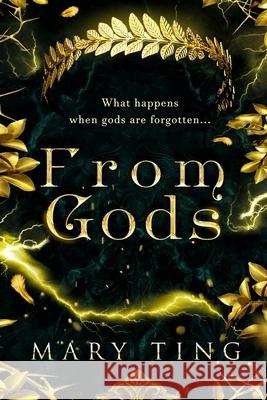 From Gods Mary Ting 9781492360636 Createspace - książka