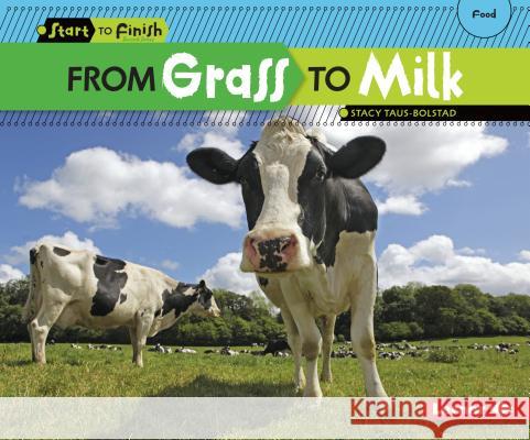 From Grass to Milk Stacy Taus-Bolstad 9781580139663 Lerner Classroom - książka