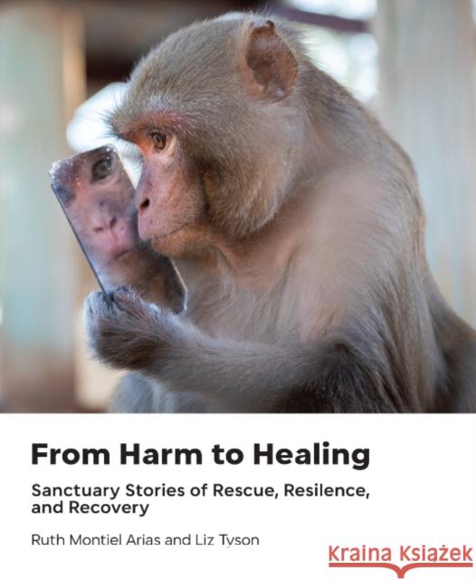 From Harm to Healing: Sanctuary Stories of Rescue, Resilience, and Recovery Ruth Montiel-Arias Liz Tyson-Griffin 9781590567326 Lantern Publishing & Media - książka