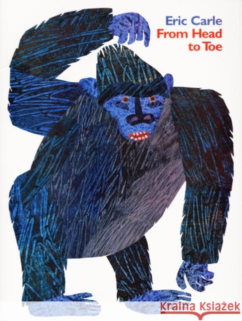 From Head to Toe Eric Carle 9780064435963 HarperCollins - książka