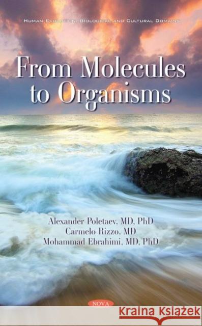 From Molecules to Organisms Alexander Poletaev   9781536175516 Nova Science Publishers Inc - książka