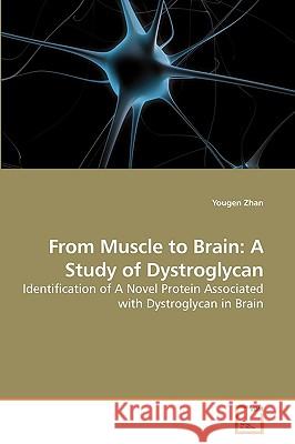 From Muscle to Brain: A Study of Dystroglycan Zhan, Yougen 9783639197259 VDM Verlag - książka