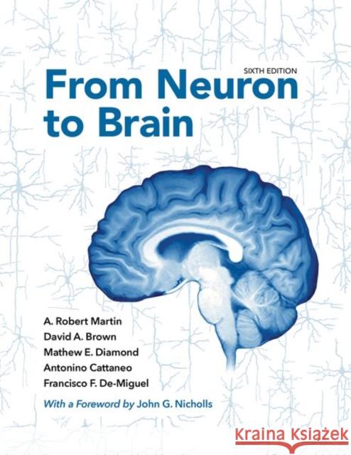 From Neuron to Brain A. Robert Martin David a. Brown Mathew E. Diamond 9781605354392 Sinauer Associates Is an Imprint of Oxford Un - książka