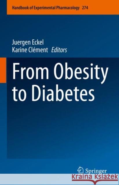 From Obesity to Diabetes  9783030999940 Springer International Publishing - książka