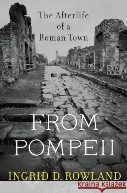 From Pompeii: The Afterlife of a Roman Town Ingrid D. Rowland 9780674088092 Belknap Press - książka