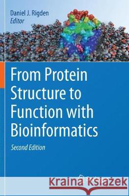 From Protein Structure to Function with Bioinformatics Daniel J 9789402414820 Springer - książka
