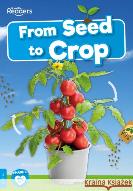 From Seed to Crop Shalini Vallepur 9781801551021 BookLife Publishing - książka