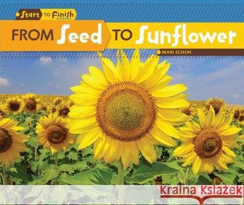 From Seed to Sunflower Schuh, Mari C. 9781512413014 Lerner Publications - książka