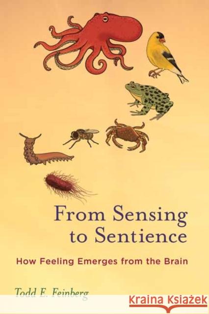 From Sensing to Sentience: How Feeling Emerges from the Brain Todd E. Feinberg 9780262550956 MIT Press - książka