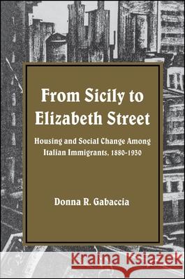 From Sicily to Elizabeth Street: Housing and Social Change Among Italian Immigrants, 1880-1930 Donna R. Gabaccia 9780873957694 State University of New York Press - książka
