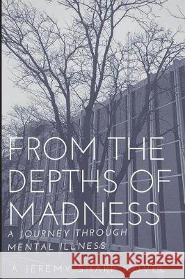 From the Depths of Madness: A Journey Through Mental Illness Matthew Renze Heather Wilde Jeremy Sharp 9781513638225 Movement Publishing - książka