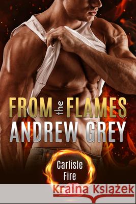 From the Flames: Volume 3 Andrew Grey 9781641088725 Dreamspinner Press LLC - książka