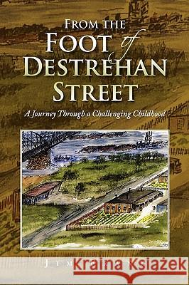 From the Foot of Destrehan Street Jim Frank 9781441540218  - książka