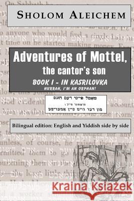 From the Home to America Sholem Aleichem Tamara Kahana Sholom Aleichem 9781929068289 Sholom Aleichem Family Publications - książka