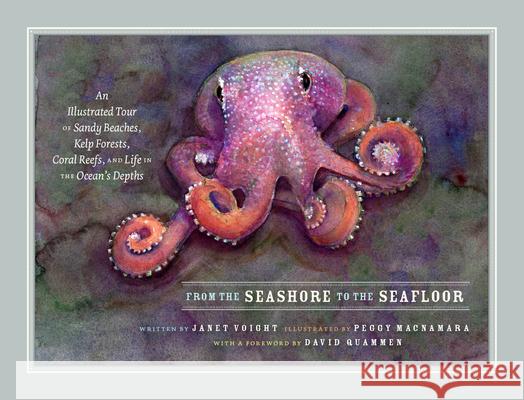 From the Seashore to the Seafloor: An Illustrated Tour of Sandy Beaches, Kelp Forests, Coral Reefs, and Life in the Ocean's Depths Janet Voight 9780226817668 The University of Chicago Press - książka