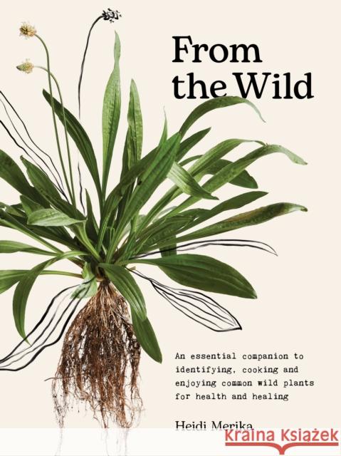 From the Wild: An essential companion to identifying, cooking and enjoying common wild plants for health and healing Heidi Merika 9781761500091 Murdoch Books - książka