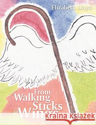 From Walking Sticks to Wings Elizabeth Lloyd 9781438977256 Authorhouse - książka