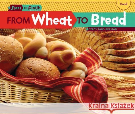 From Wheat to Bread Stacy Taus-Bolstad 9781580139700 Lerner Classroom - książka