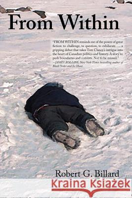 From Within Billard, Robert G. 9781412096751 Trafford Publishing - książka
